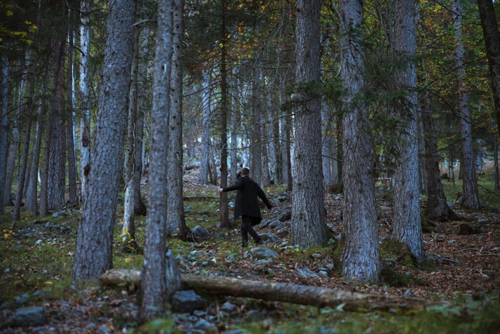 Cangıl Günlükleri